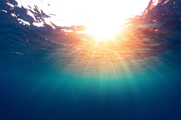 Sea with sun Underwater view of the sea surface turquoise colored stock pictures, royalty-free photos & images