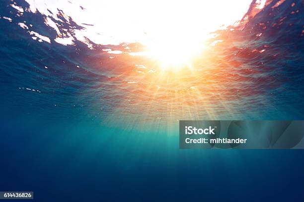 Sea With Sun Stock Photo - Download Image Now - Sea, Water, Underwater