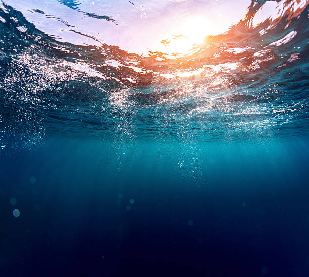 mar azul  - underwater sea water surface surface level - fotografias e filmes do acervo