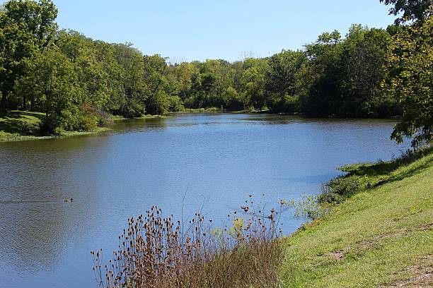 istock Afternoon at the Lake 614439870