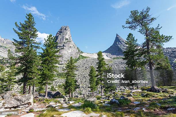 Russia Natural Park Of Ergaki Parabola Stock Photo - Download Image Now - Day, Forest, Horizontal