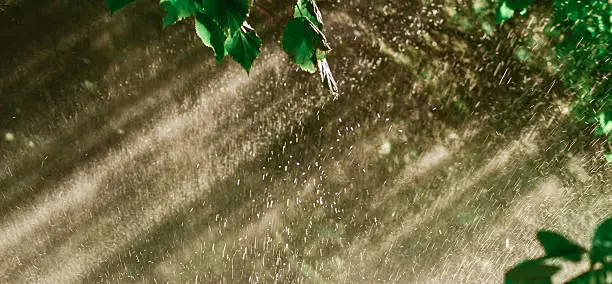 Photo of Sun shower water spray