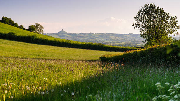 paisagem de somerset - glastonbury tor imagens e fotografias de stock