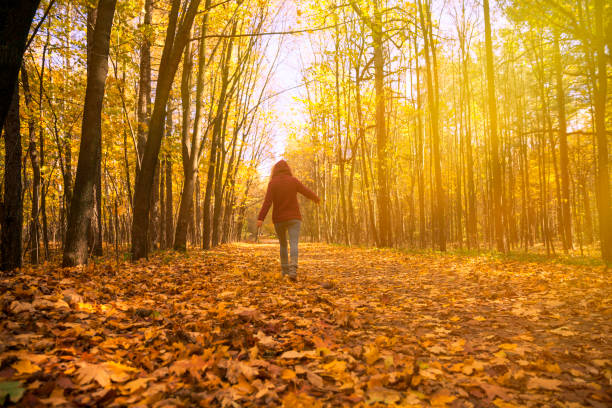 istock Woman in autumn park 614448214