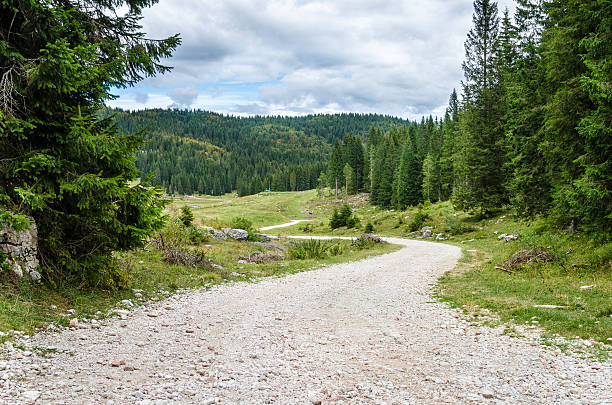 Winding Mountain Road on a Cloudy Day Unpaved Winding Mountain Road Through A Forest on a Cloudy Day gravel mound stock pictures, royalty-free photos & images