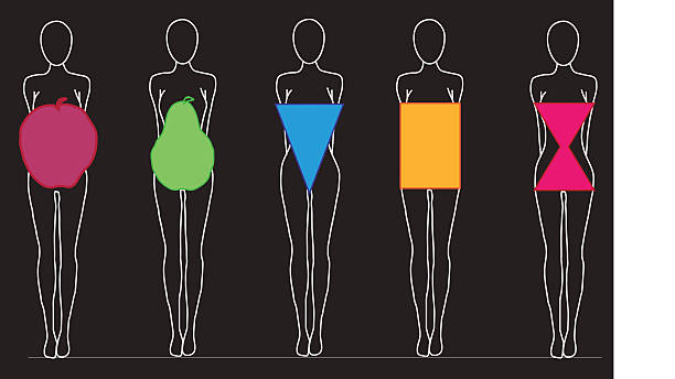 frauen körperformen - body shape stock-grafiken, -clipart, -cartoons und -symbole