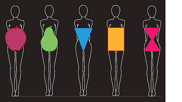 ilustraciones, imágenes clip art, dibujos animados e iconos de stock de formas del cuerpo de las mujeres - weight scale apple comparison balance