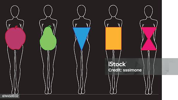 Women Body Shapes Stock Illustration - Download Image Now - The Human Body, Shape, Women