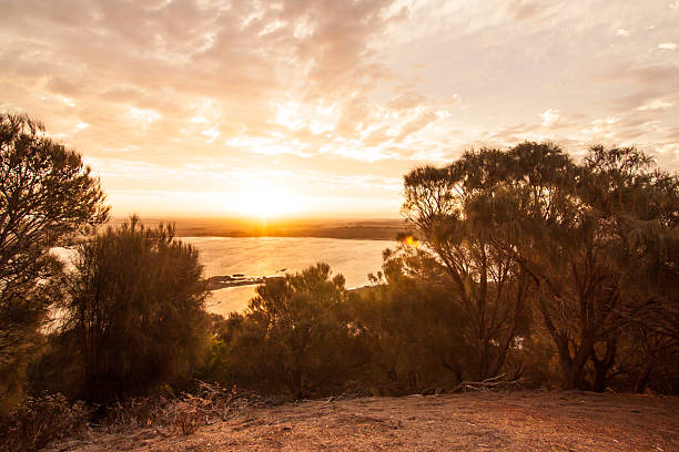 istock Tower Hill Wildlife Reserve 614494900