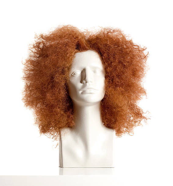 Hair Dummy Stock Photos, Pictures & Royalty-Free Images - iStock Hair Dummy Stock Photos, Pictures & Royalty-Free Images - iStock