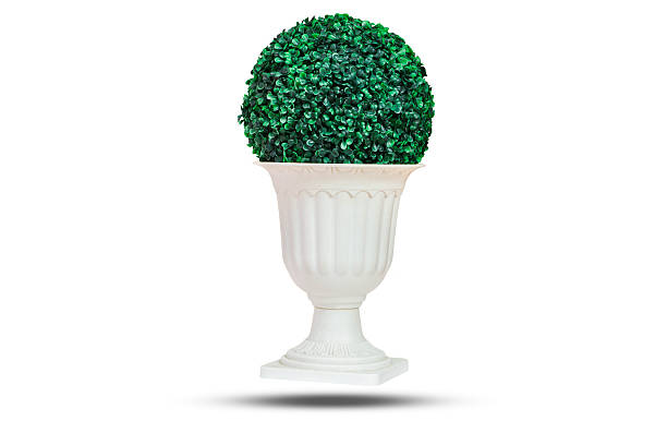 istock plastic plant in wood pot 614498066