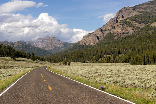 two lane road transportation yellowstone nationalpark wyoming - empty nobody two lane highway highway stock-fotos und bilder