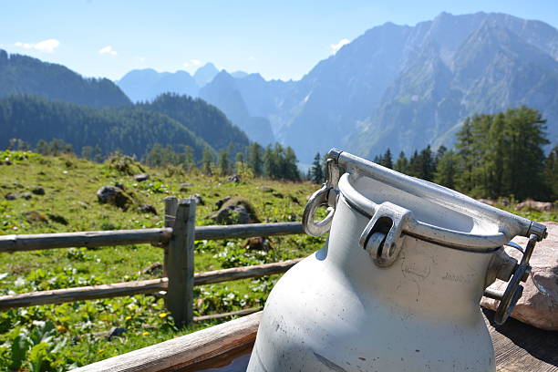 choza en montan@as alemanas con la lata de la leche - milk european alps agriculture mountain fotografías e imágenes de stock