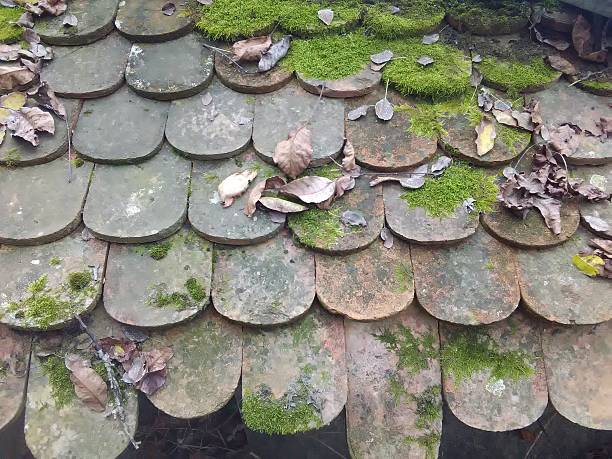 Old Serbian plain roof tiles covered with moss and fallen leaves in autumn