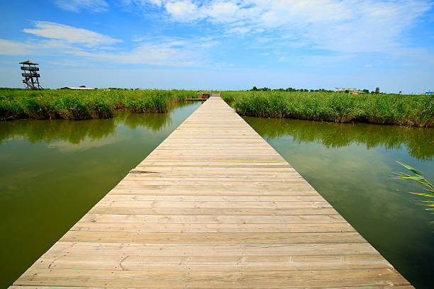 istock Wetland landscape 614501226
