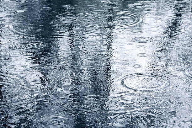 istock water reflection of trees on mirror-like puddle surface 614501610