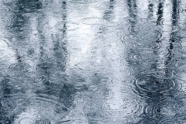 istock wet sidewalk with raindrops and trees reflection in a puddle 614501900