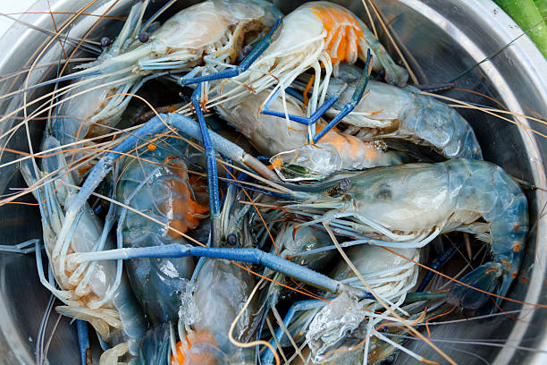 istock Fresh shrimp at the market for sell 614503928