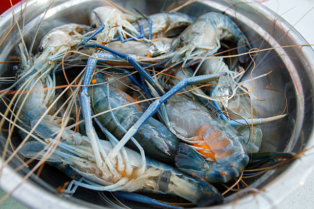 istock Fresh shrimp at the market for sell 614504422