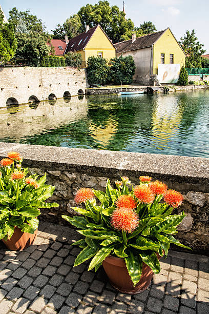 The city's architecture is reflected in the lake, Tapolca in Hungary, central Europe. Beautiful potted flowers. Tourist destination. Vertical composition.