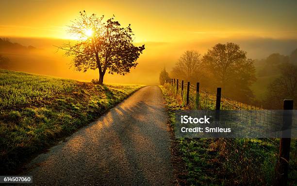 Paesaggio Rurale Idilliaco In Luce Dorata - Fotografie stock e altre immagini di Aurora - Aurora, Paesaggio, Natura