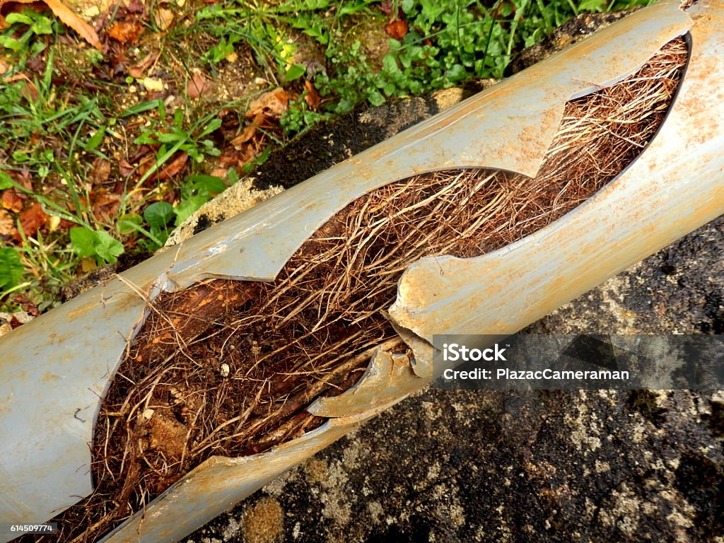 Tubería de drenaje dividida - Foto de stock de Boca de alcantarilla libre de derechos