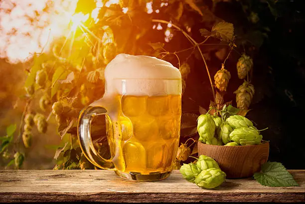 Beer keg with glasses of beer on rural countryside background,