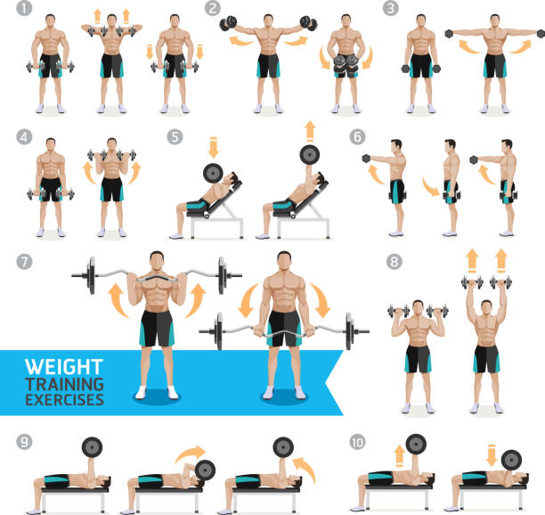 ilustraciones, imágenes clip art, dibujos animados e iconos de stock de ejercicios de mancuerna y entrenamientos de entrenamiento con pesas. - muscular build men human muscle body building exercises