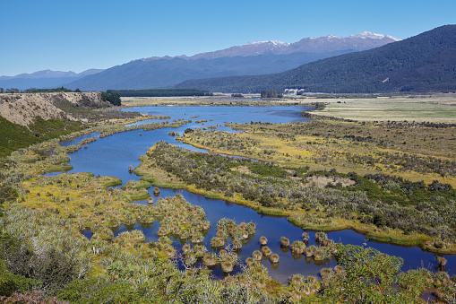Rakatu Wetland and Redcliff Wildlife Reserve, Manapouri, Southern Scenic Route, Southland, New Zealand.