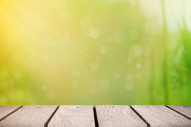 istock Wooden platform at garden for background 614513564