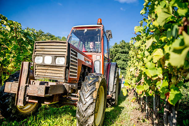 istock Farmer with a Tractor in the Vineyard 614513586