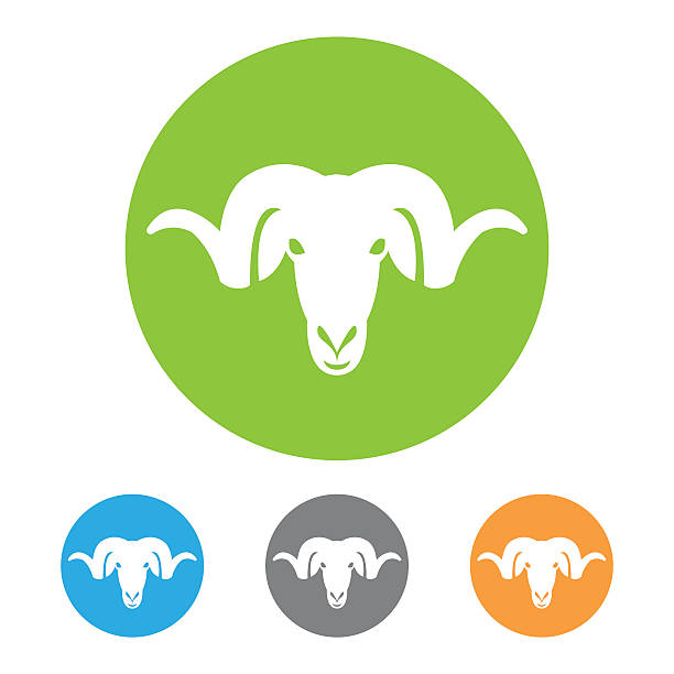 ラムヘッドアイコン - ram bighorn sheep animal head animal themes点のイラスト素材／クリップアート素材／マンガ素材／アイコン素材