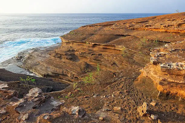 Miocene shallow-water limestones from Sao Nicolau island, Cape Verde (Cabo Verde), Africa