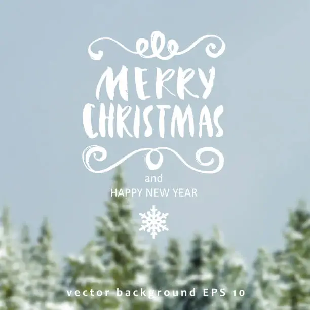 Vector illustration of Christmas background and callygraphy