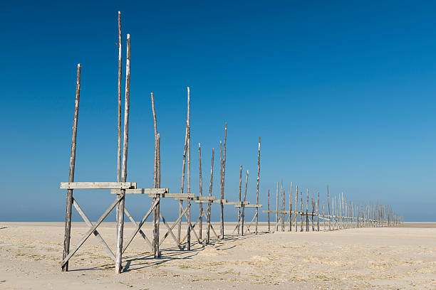 pier no banco de areia dos vliehors na ilha de vlieland. - jetty old wood obsolete - fotografias e filmes do acervo