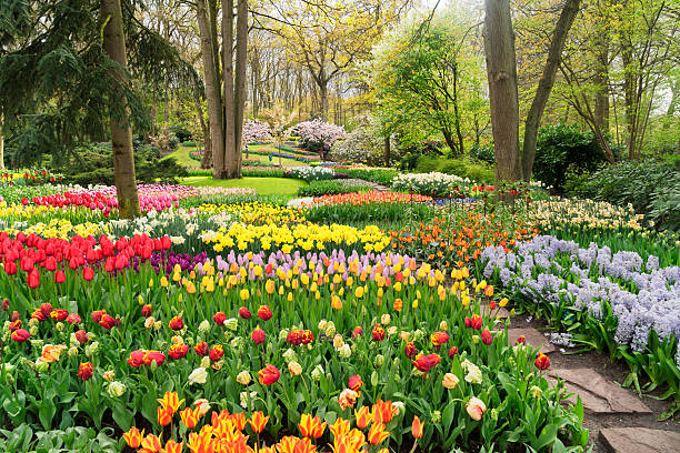 формальный весенний сад - формальный стоковые фото и изображения