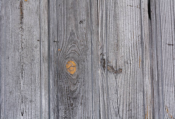istock Golden Gray wood texture. Abstract background 614522080