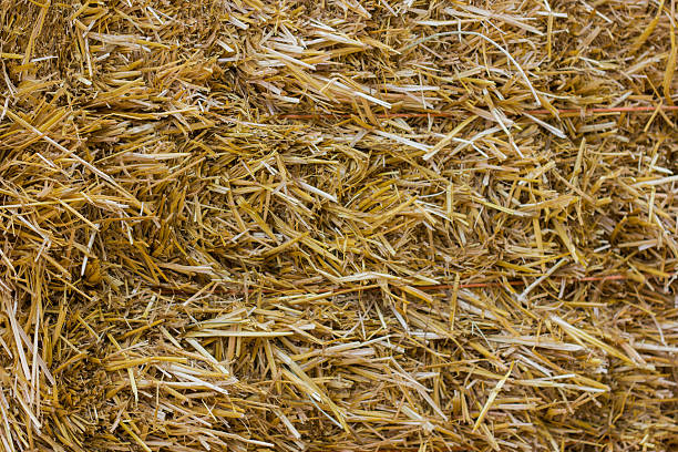 istock Close up of ground. Texture straw or hay 614523112
