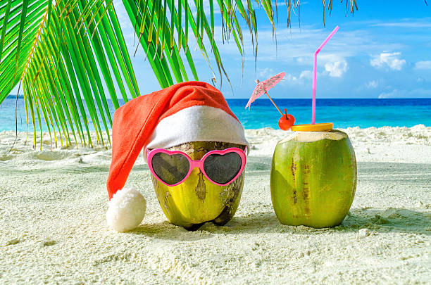 два кокоса на песке. санта кокосовый и кокосовый коктейль - island tropical climate travel sand стоковые фото и изображения