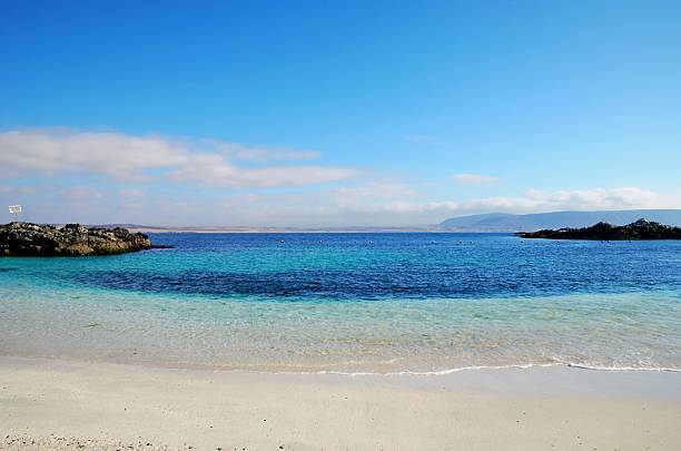 istock Beach Bahia English 614525248
