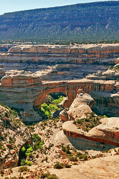 istock Landscape of Utah state 614525734