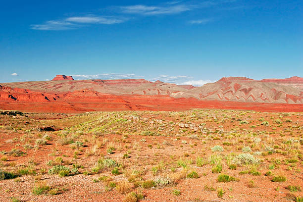 istock Landscape of desert in Arizona state 614525832
