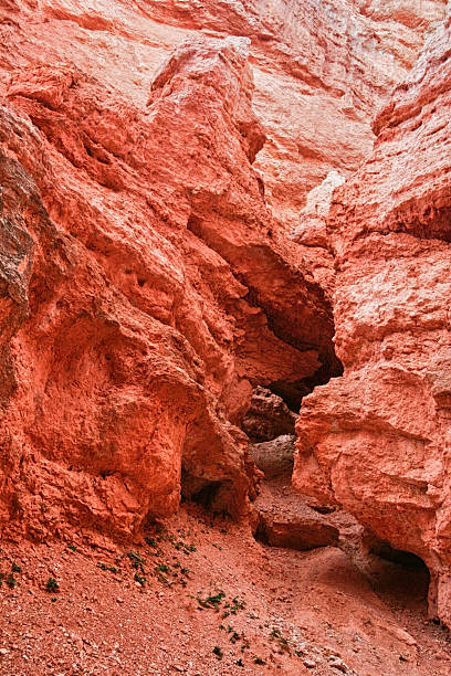 istock View from insise of Bryce Canyon. 614527360