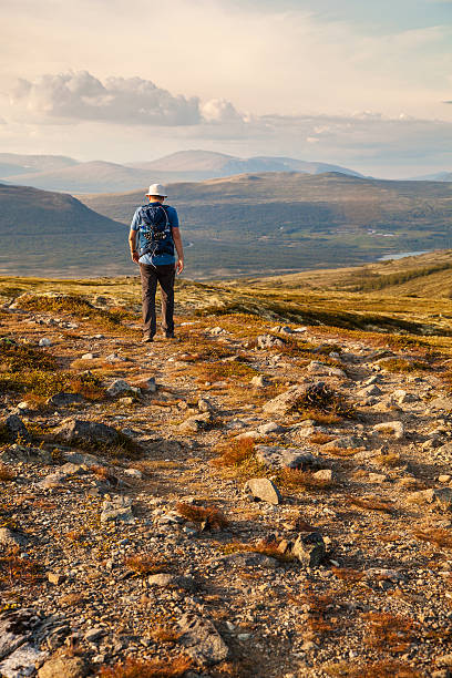 istock hiker with backpack traveling in Norway mountains Dovre 614528602