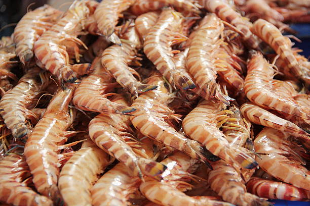 Shrimps at the Dubai fish market