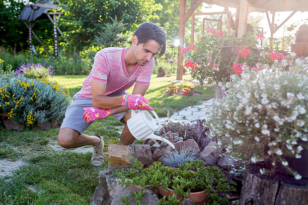 istock Young man watering plants in his garden. 614536188
