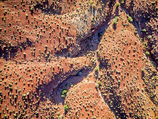 istock desert aerial view at sunrise 614536800