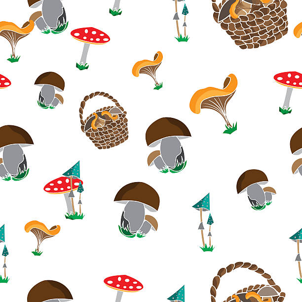 연속무늬  - 독우산광대버섯 stock illustrations