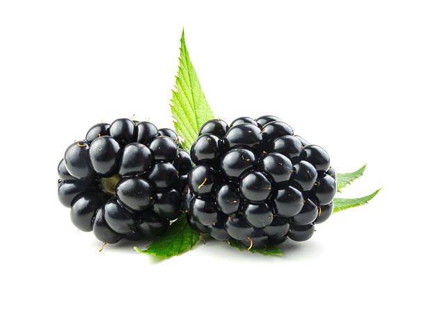 istock Blackberry with green leaves 614607570
