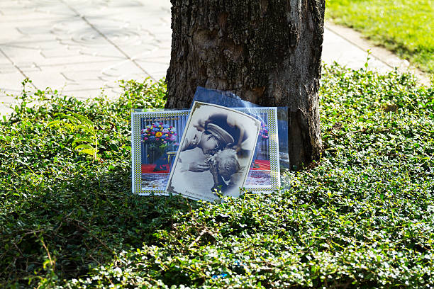 Bangkok, Thailand - October 15, 2016: In memory of King  Bhumipol placed pictures at a tree near Sanam Luang park. Second day of condolence period in Bangkok. On picture king is holding hand of old woman.